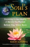Soul's Plan